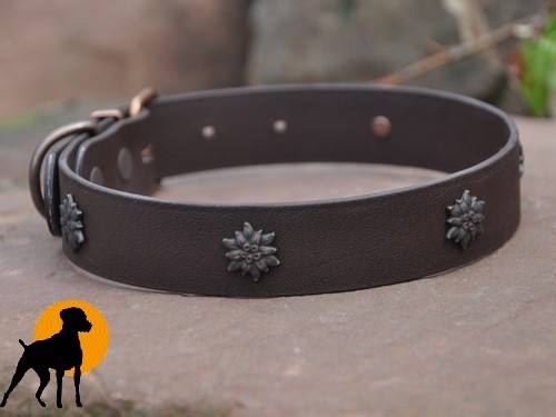 Biothane Designhalsband Edelweiß, 55cm, Dunkelbraun/Antik