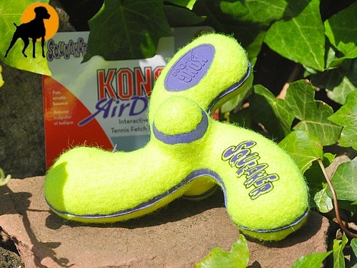 Kong Airdog Squeakair Tennis Spinner, Medium