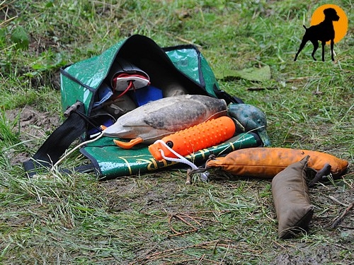 Hunter Dummytasche aus LKW-Plane, grün