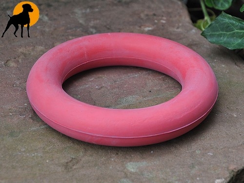Moosgummiring 16cm, schwimmfähig