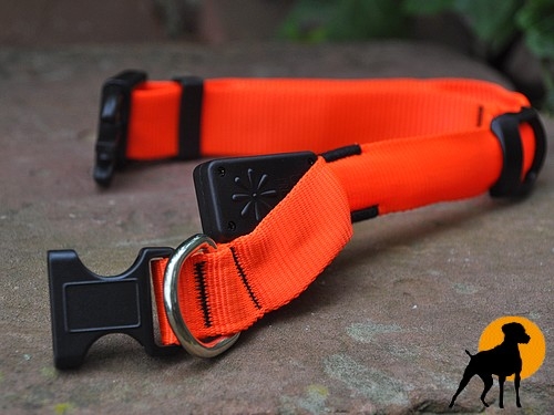 Flash Sicherheitshalsband, 25mm x 40-55cm, signalorange