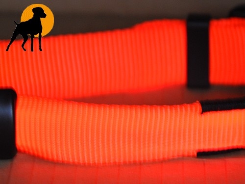 Flash Sicherheitshalsband, 25mm x 40-55cm, signalorange