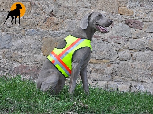 Hundewarnweste Classic mit Rückenöffnung, Gr. 2, Signalgelb