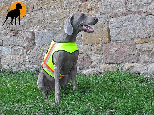 Hundewarnweste Classic mit Rückenöffnung, Gr. 2, Signalgelb