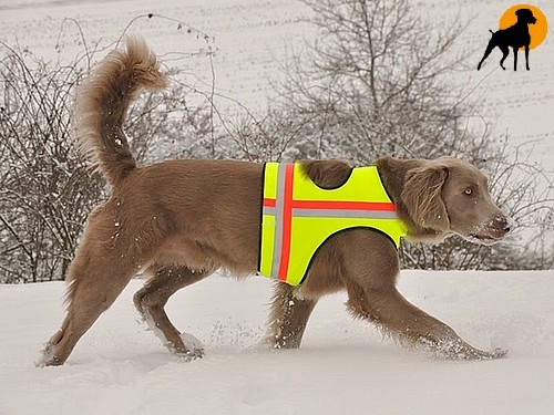 Hundewarnweste Classic mit Rückenöffnung, Gr. 3, Signalgelb