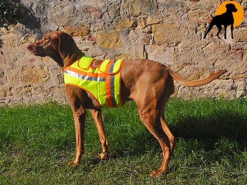 Akah Nylon Hundewarnweste mit Rückenöffnung, Gr. 3 (Stöberhunde), Signalgelb