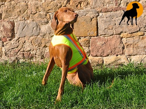 Akah Nylon Hundewarnweste mit Rückenöffnung, Gr. 3 (Stöberhunde), Signalgelb