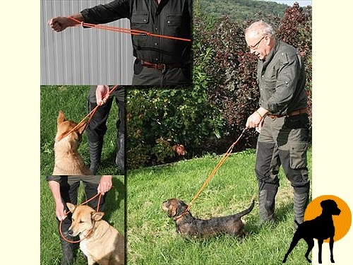 Retriever Führleine aus Schlauchband