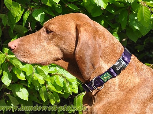 Hunter Halsband Vario Basic Alu-Strong, L, Violett