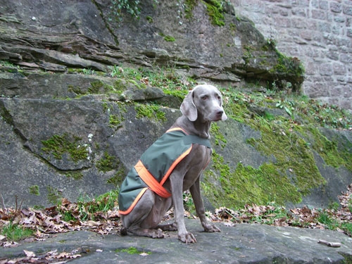 Safety Coat Wintermantel, Rückenlänge 56cm