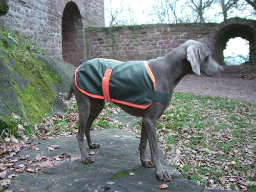 Safety Coat Wintermantel, Rückenlänge 60cm