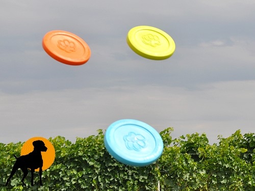 West Paw Frisbee ZISC, 22cm