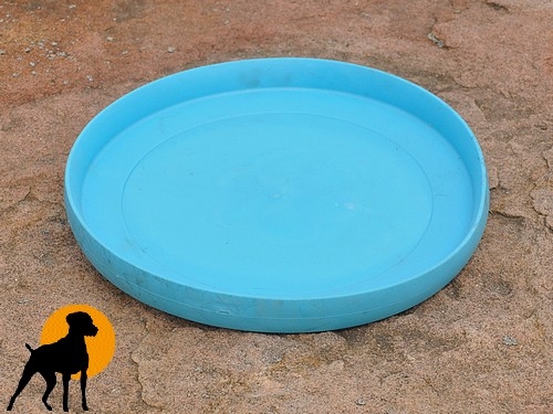 West Paw Frisbee ZISC, 22cm