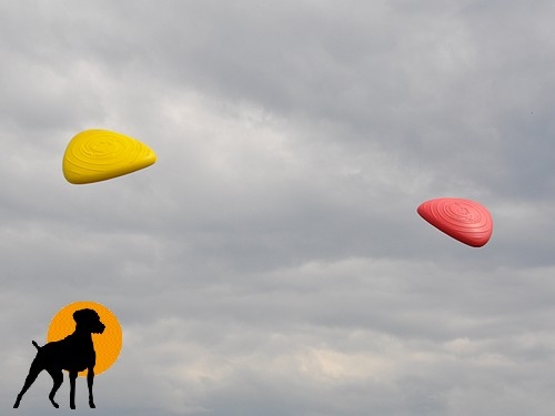 West Paw Frisbee Flying Thing, 20cm