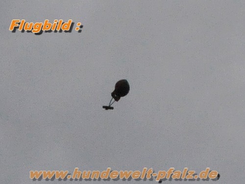 Mystique Dummy Ball Marker Ø ca. 7cm x 150g., Hellblau/Weiß