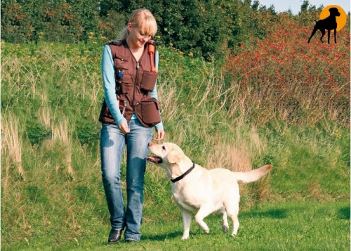 Dog Activity Hundeführerweste, S, Braun
