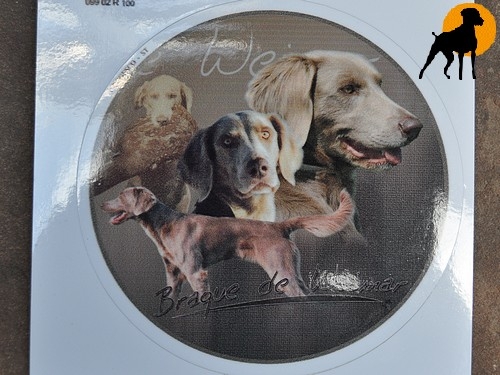 .Design-Aufkleber Weimaraner Langhaar, 10cm