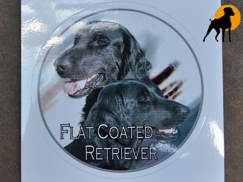 .Design-Aufkleber Flatcoated Retriever, 10cm