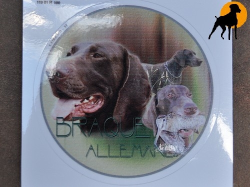 .Design-Aufkleber Deutsch Kurzhaar, 10cm