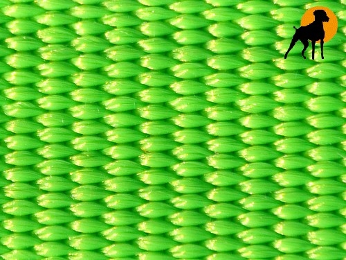 HWP Feldleine 20mm x 7,5m, mit HS, Apple Green