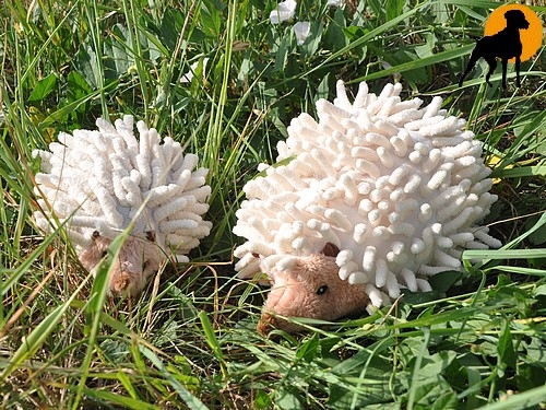 Plüsch-Igel Gr.1, 12cm