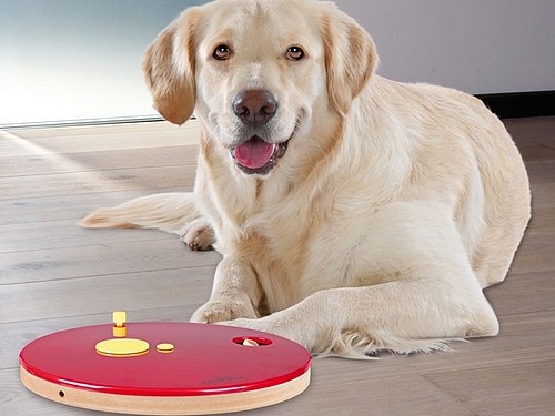 Dog Activity Brettspiel Roulette