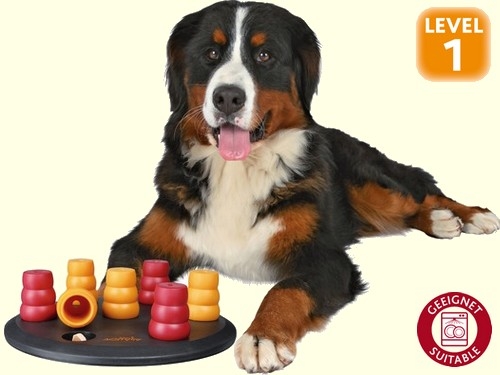 Dog Activity Brettspiel Solitär