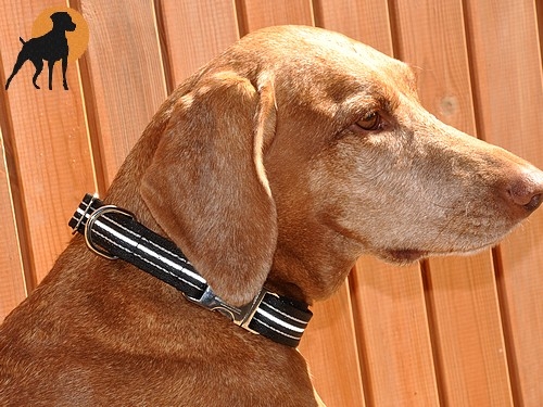 Halsband Nylon Muster AluMax, Schwarz Reflect