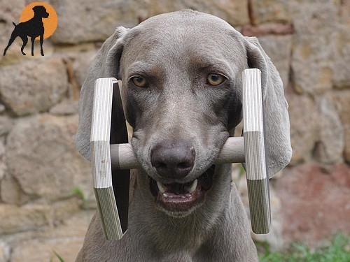 Obedience Holzapportel PRO 140mm, Gr.XL