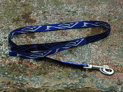 Blues Führleine 20mm x 100cm