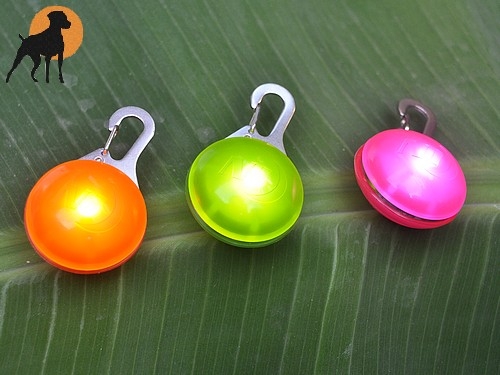Nite Ize Karabiner-LED Color für Geschirr und Halsband