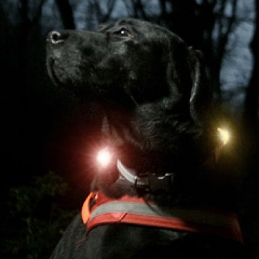 Adventurelight Safety Light LED Sicherheitslicht