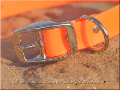 Biothane Gold Transculent Halsband mit Dornschnalle rund, Breite: 19mm