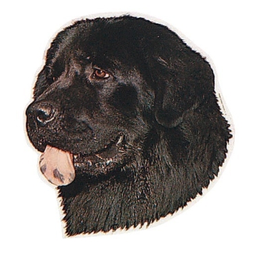 Aufkleber Neufundländer
