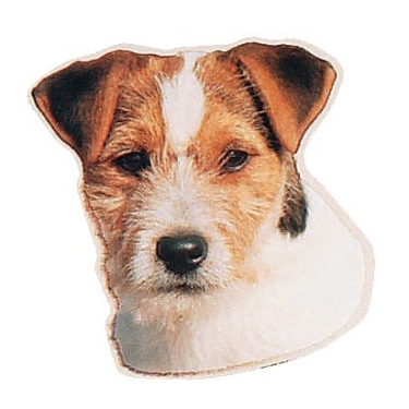 Aufkleber Jack Russel Terrier