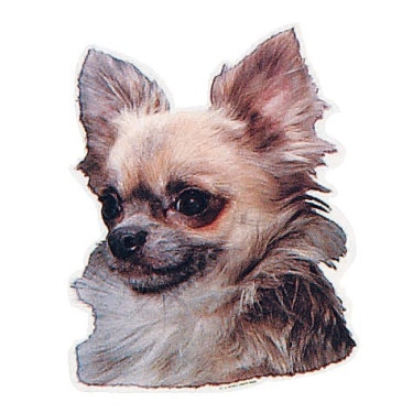 Aufkleber Chihuahua, Langhaar