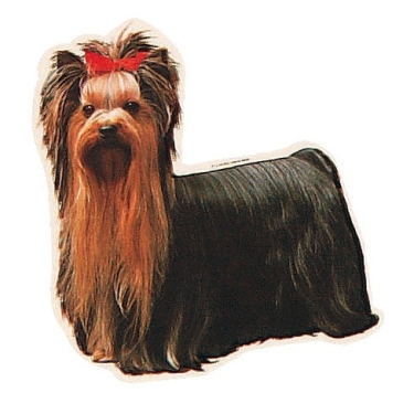 Aufkleber Yorkshire Terrier (Vollbild)