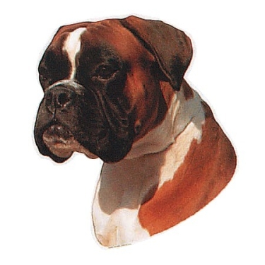 Aufkleber Boxer
