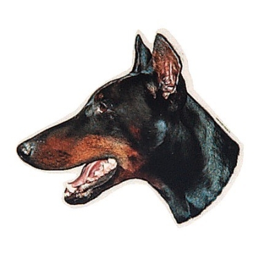 Aufkleber Dobermann 2, kupiert