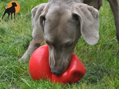 Kong Bounzer X-Large