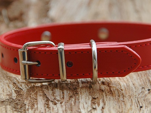 Lederhalsband "Pfote", Rot