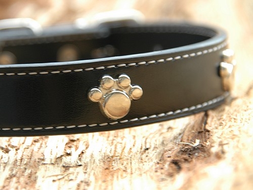 Lederhalsband "Pfote", Schwarz