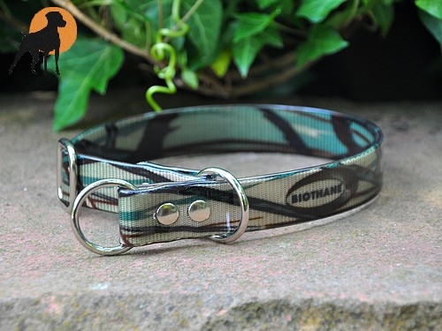 Biothane Gold Halsband Sport mit Zugstop 25mm