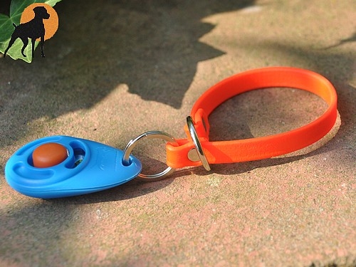 Biothane Grip Clickerarmband 12mm