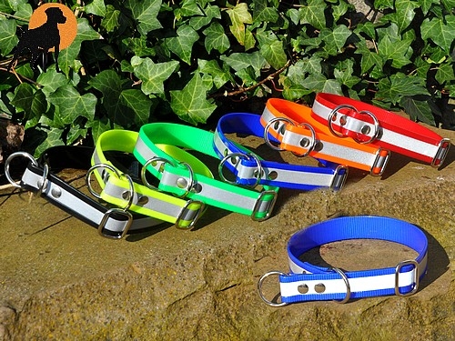 Biothane Reflective Halsband Sport 25mm