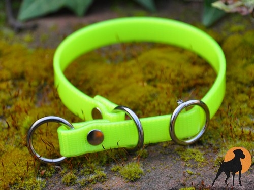 Biothane Gold Halsband Sport mit Zugstop 13mm