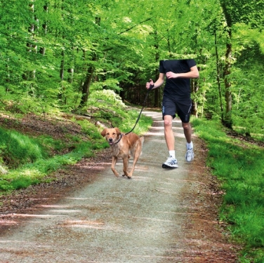 Dog Activity Joggingleine 20mm x 130cm, schwarz