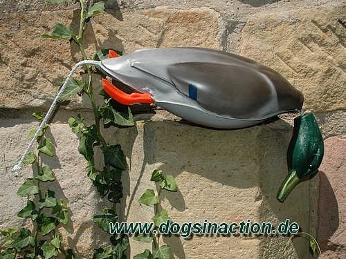 Dokken Deadfowl Trainer Stockente, groß