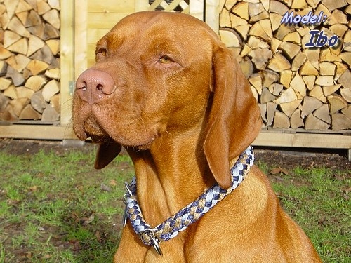 G2 Tauwerk Halsband Basic, rund geflochten, mit Zugstop, Liverpool