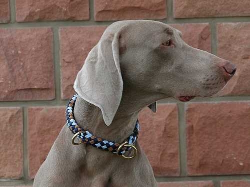 G2 Tauwerk Halsband Basic, rund geflochten, mit Zugstop, Liverpool